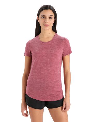 Cherry Heather Icebreaker Merino Sphere II Short Sleeve Women's T Shirts | AU 1567OKIR